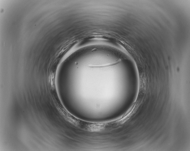 X0000086780094200704131225