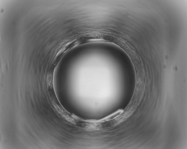 X0000086780096200704131225