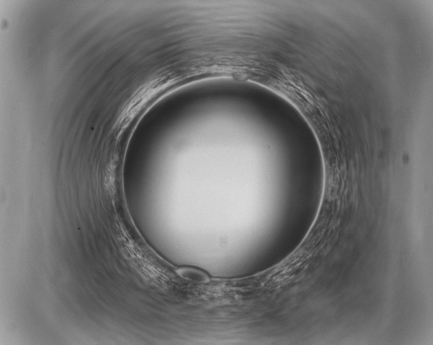 X0000086780098200704131225