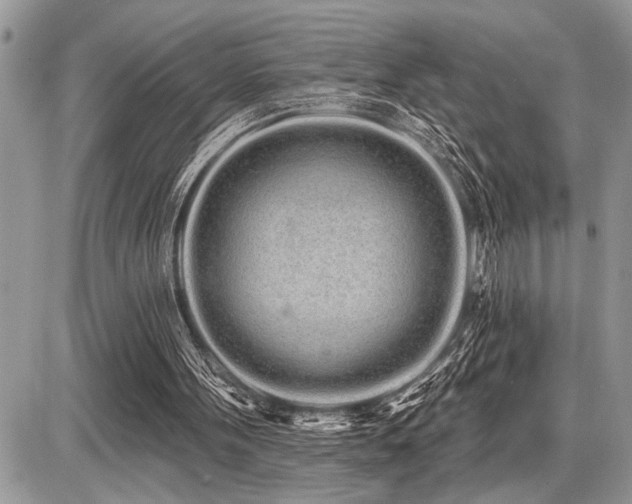 X0000086780099200704131225