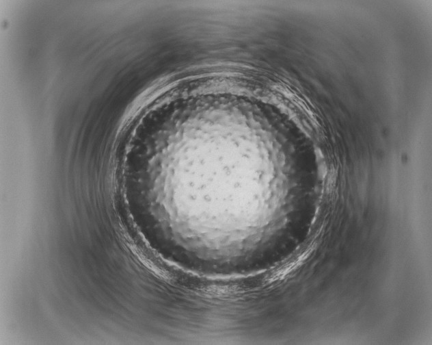 X0000086780101200704131224