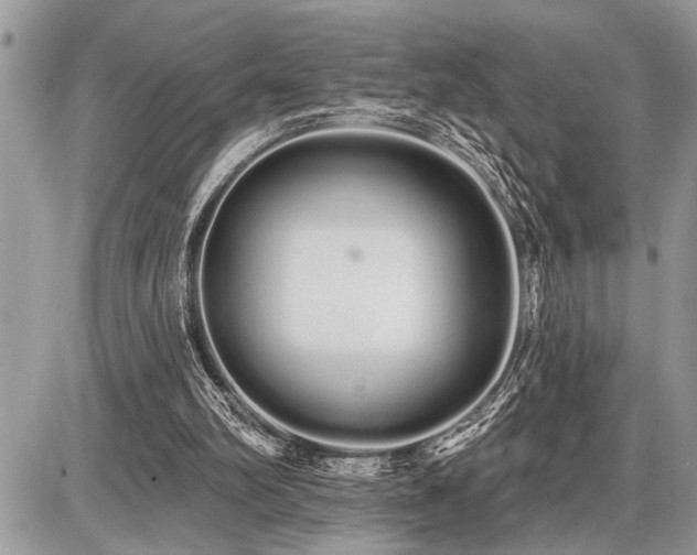 X0000086780102200704131224