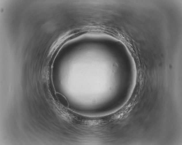 X0000086780103200704131224