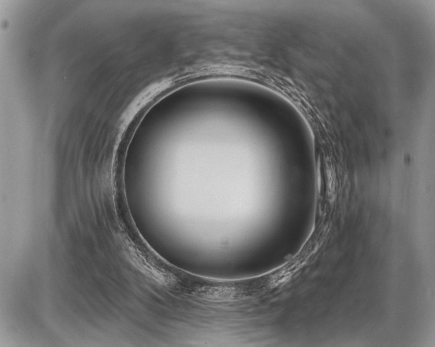 X0000086780104200704131224