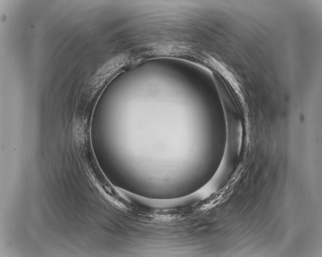 X0000086780105200704131224