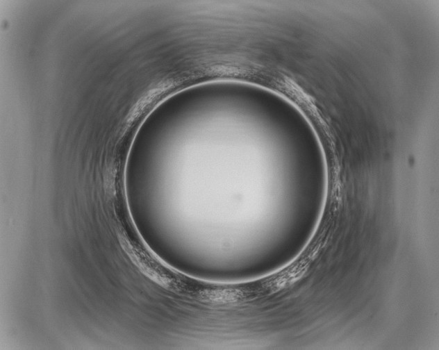 X0000086780106200704131224