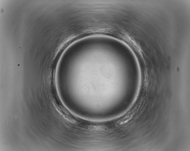 X0000086780107200704131224