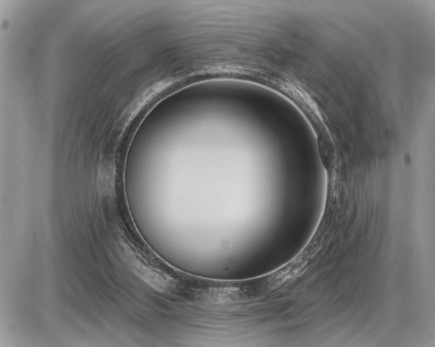 X0000086780108200704131224