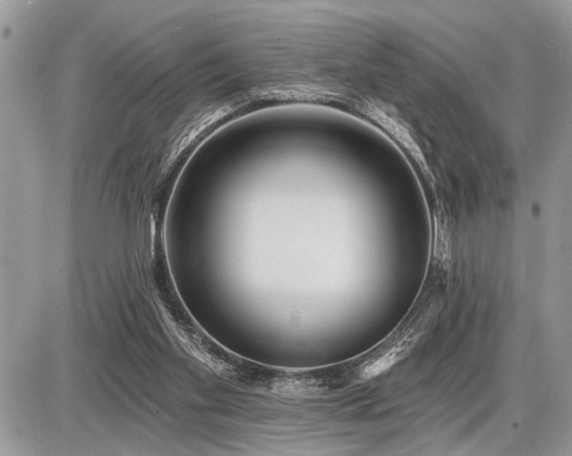 X0000086780109200704131224