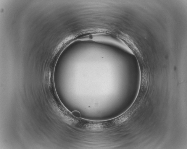 X0000086780110200704131224