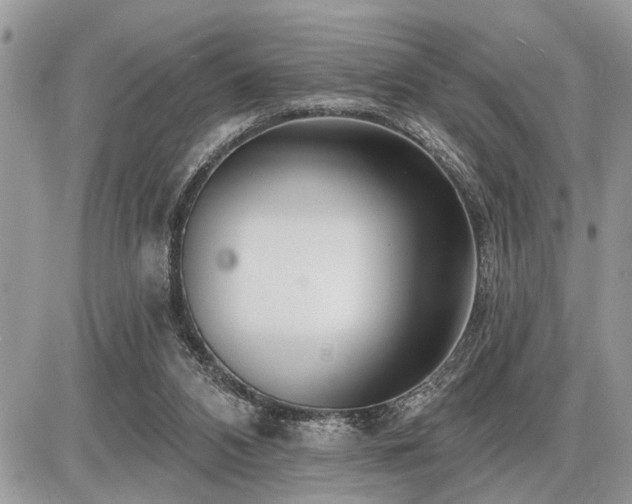 X0000086780112200704131224