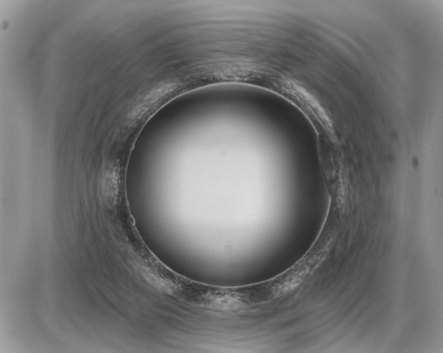 X0000086780113200704131224