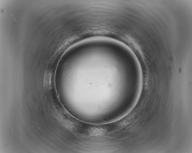 X0000086780115200704131224