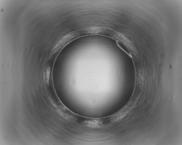 X0000086780118200704131224