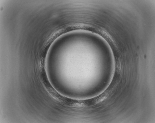 X0000086780119200704131224