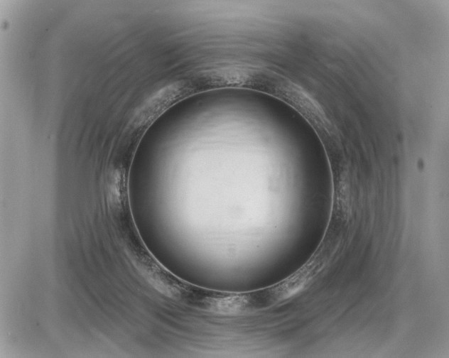 X0000086780122200704131224