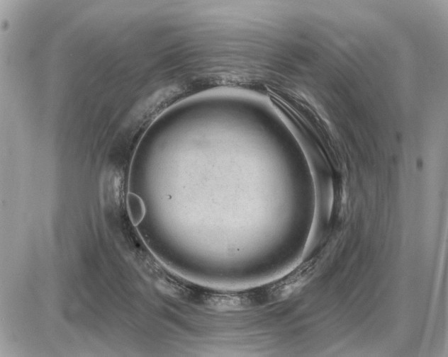 X0000086780123200704131224