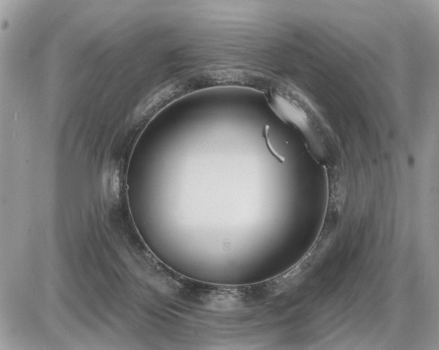 X0000086780124200704131224