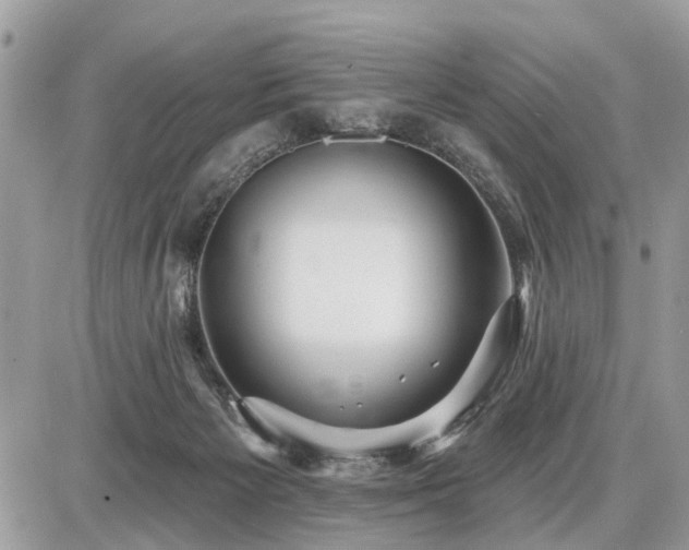 X0000086780125200704131224