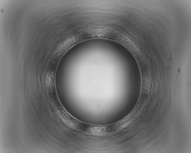 X0000086780126200704131224