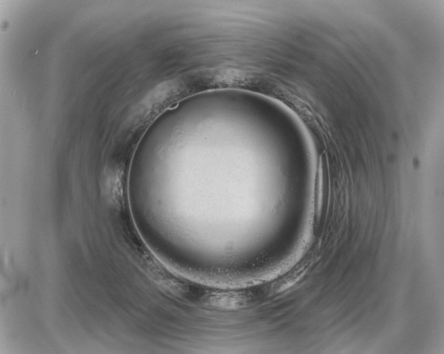 X0000086780127200704131224