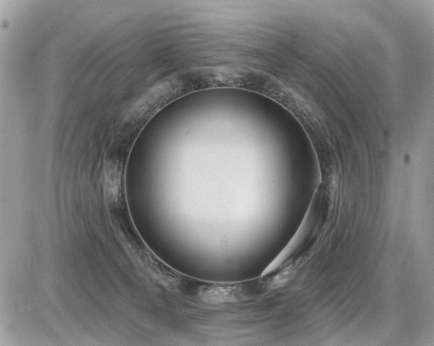 X0000086780129200704131224