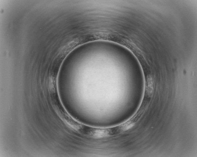 X0000086780130200704131224