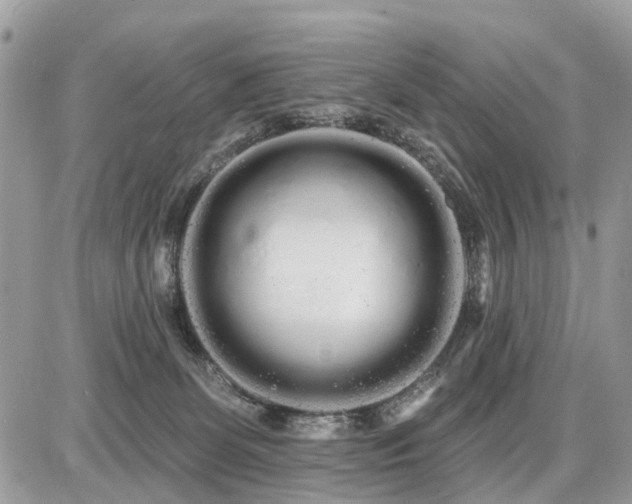 X0000086780131200704131224