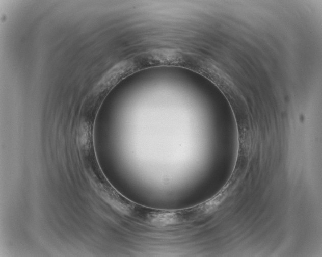 X0000086780132200704131224