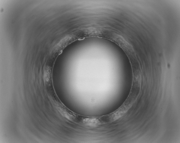 X0000086780133200704131224