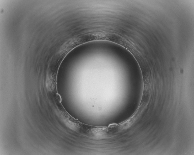 X0000086780136200704131224