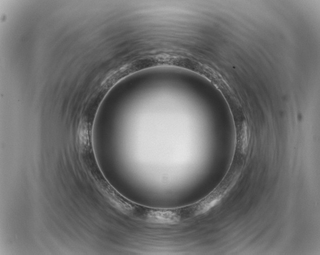 X0000086780137200704131224