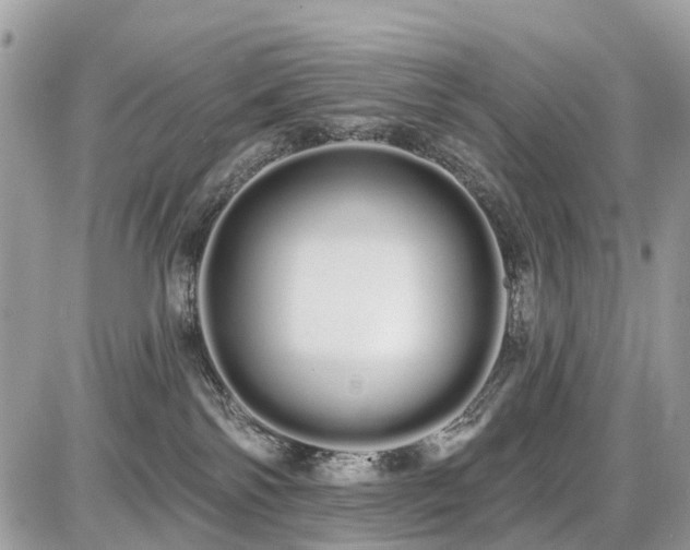 X0000086780138200704131224