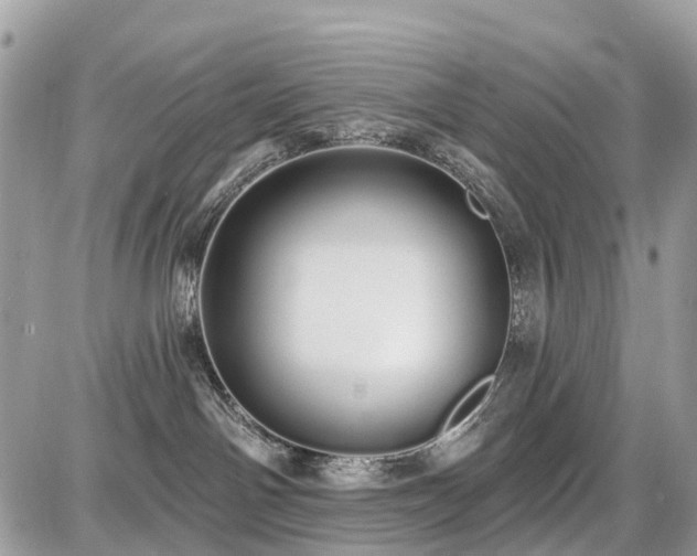 X0000086780142200704131224