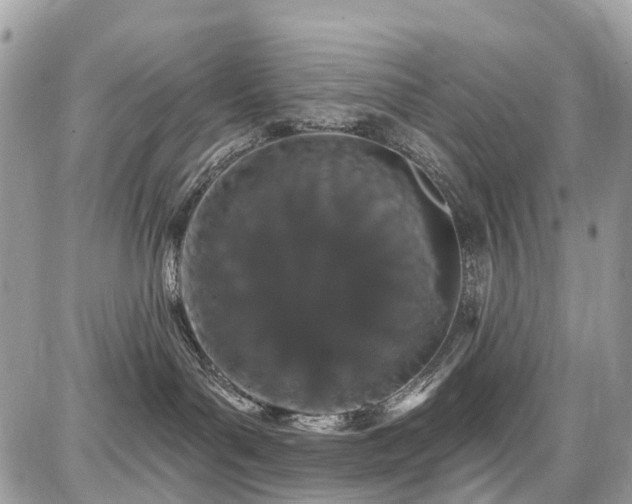 X0000086780143200704131224