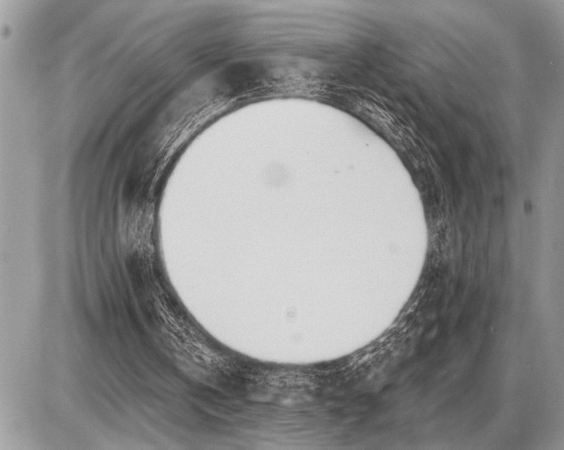 X0000086780146200704131223