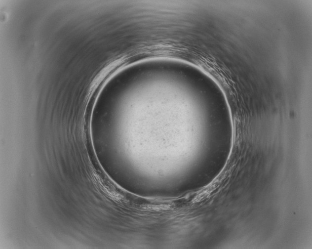 X0000086780147200704131223