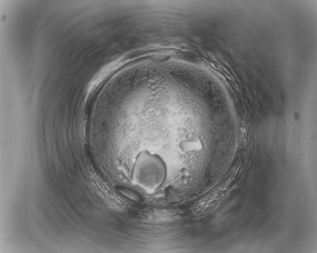 X0000086780149200704131223