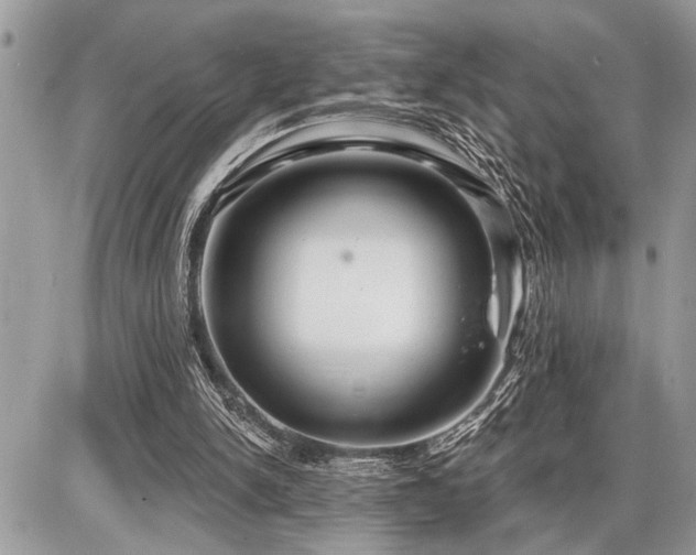 X0000086780150200704131223