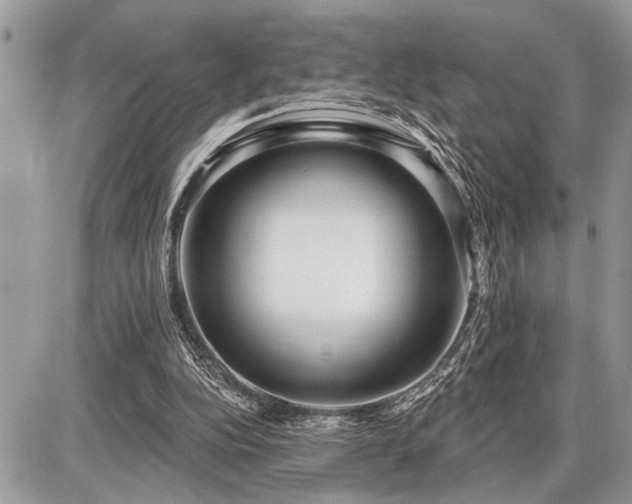 X0000086780152200704131223