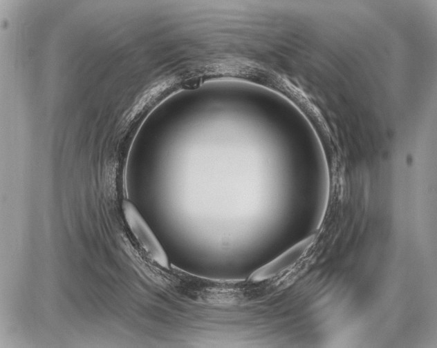 X0000086780154200704131223