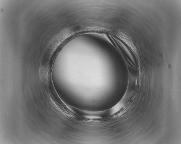 X0000086780156200704131223