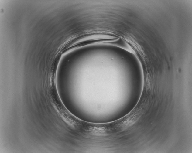 X0000086780157200704131223