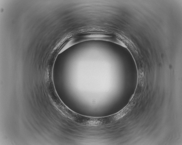 X0000086780158200704131223