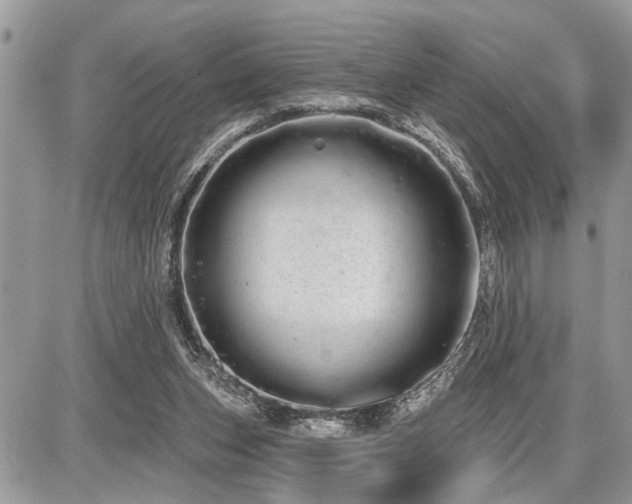 X0000086780159200704131223