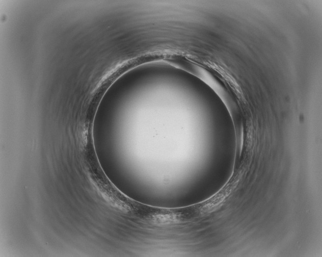 X0000086780160200704131223