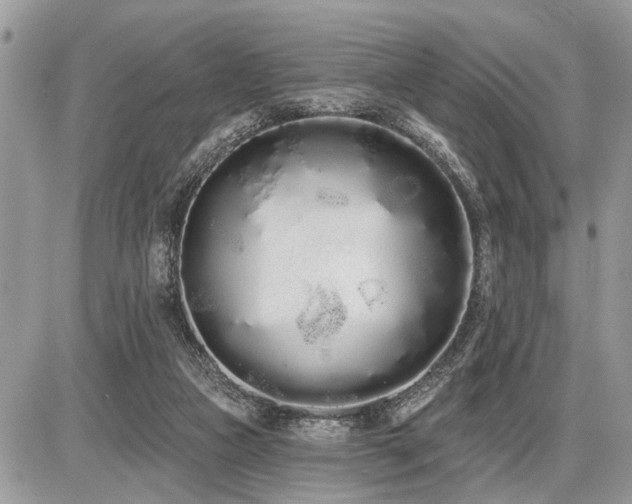 X0000086780161200704131223