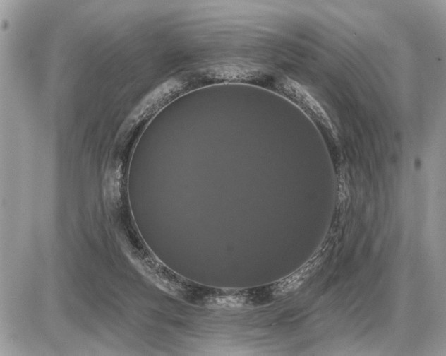 X0000086780163200704131223