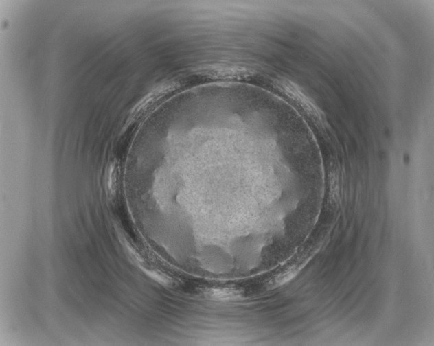 X0000086780165200704131223