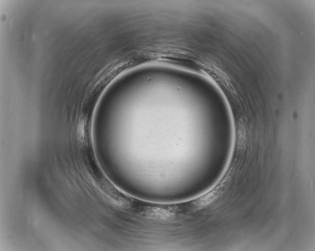 X0000086780166200704131223